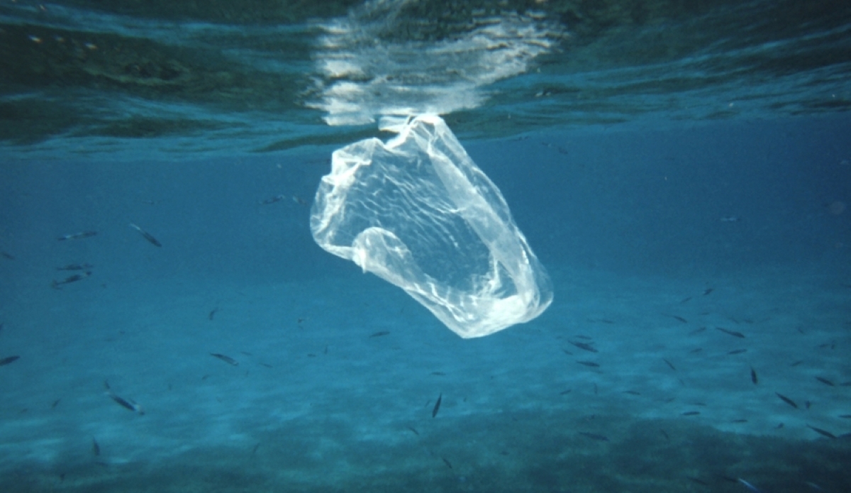 Plastic bag floating underwater in the ocean, surrounded by small fish, highlighting marine pollution and environmental impact of plastic waste.